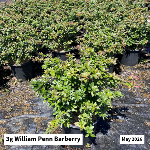 May 2026 3g William Penn Barberry Website